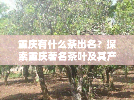 重庆有什么茶出名？探索重庆著名茶叶及其产地