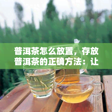 普洱茶怎么放置，存放普洱茶的正确方法：让茶叶保持品质