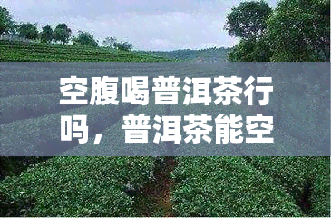 空腹喝普洱茶行吗，普洱茶能空腹饮用吗？