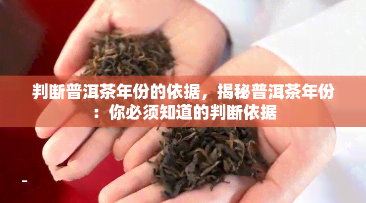 判断普洱茶年份的依据，揭秘普洱茶年份：你必须知道的判断依据