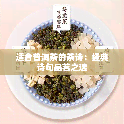 适合普洱茶的茶诗：经典诗句品茗之选