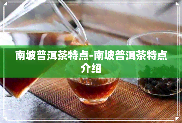 南坡普洱茶特点-南坡普洱茶特点介绍