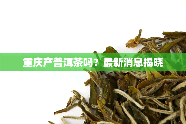 重庆产普洱茶吗？最新消息揭晓