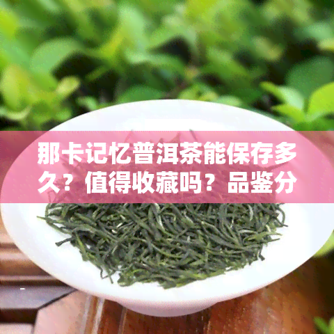 那卡记忆普洱茶能保存多久？值得收藏吗？品鉴分析