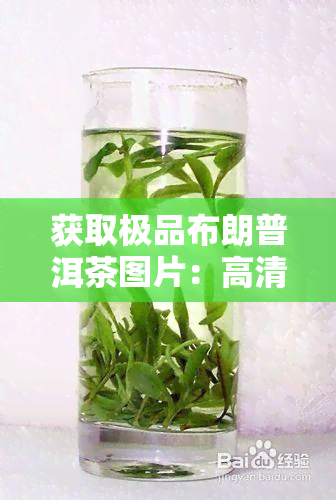 获取极品布朗普洱茶图片：高清大全全在这！