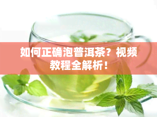 如何正确泡普洱茶？视频教程全解析！