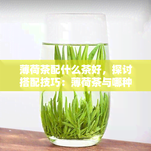 薄荷茶配什么茶好，探讨搭配技巧：薄荷茶与哪种茶最相宜？