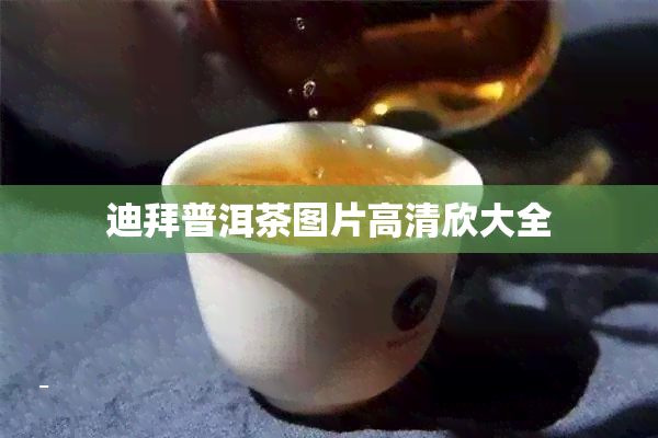 迪拜普洱茶图片高清欣大全