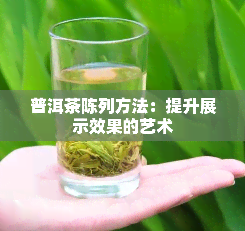 普洱茶陈列方法：提升展示效果的艺术