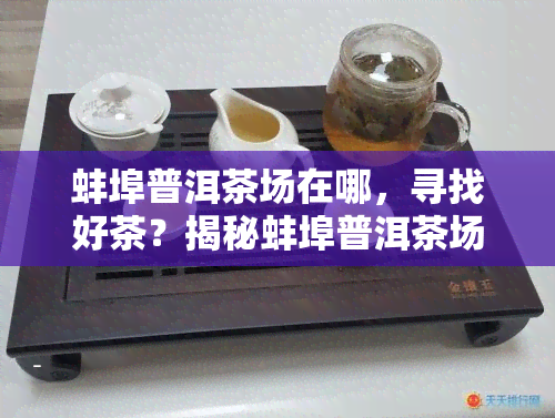 蚌埠普洱茶场在哪，寻找好茶？揭秘蚌埠普洱茶场位置！