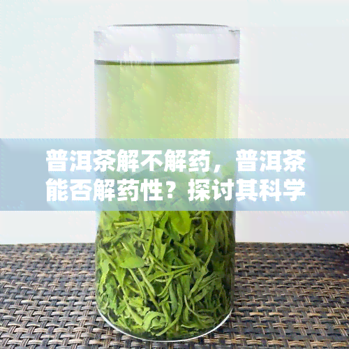 普洱茶解不解，普洱茶能否解性？探讨其科学依据