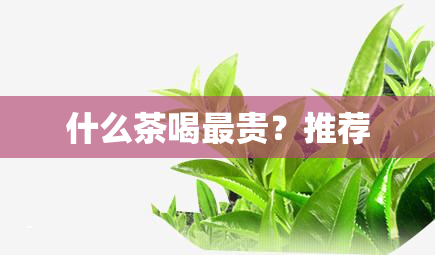 什么茶喝最贵？推荐