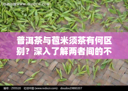 普洱茶与苞米须茶有何区别？深入了解两者间的不同之处！