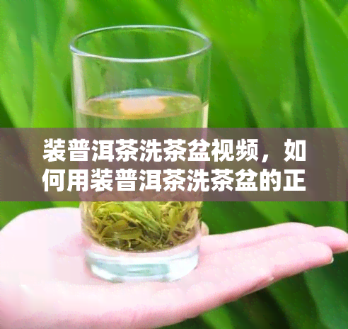 装普洱茶洗茶盆视频，如何用装普洱茶洗茶盆的正确方法，看这里！