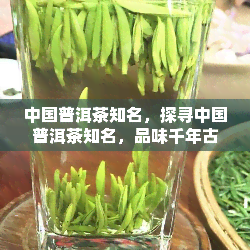 中国普洱茶知名，探寻中国普洱茶知名，品味千年古韵的醇香