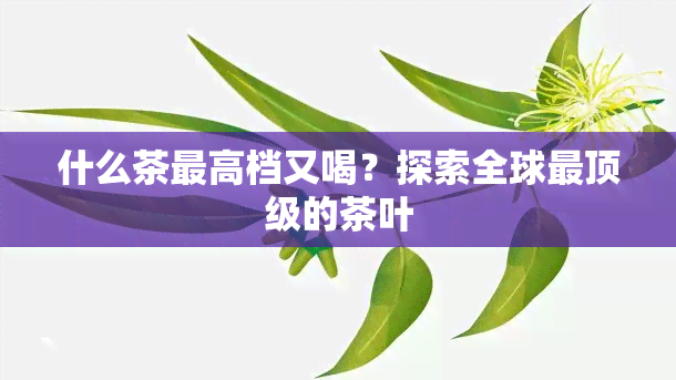 什么茶更高档又喝？探索全球最顶级的茶叶