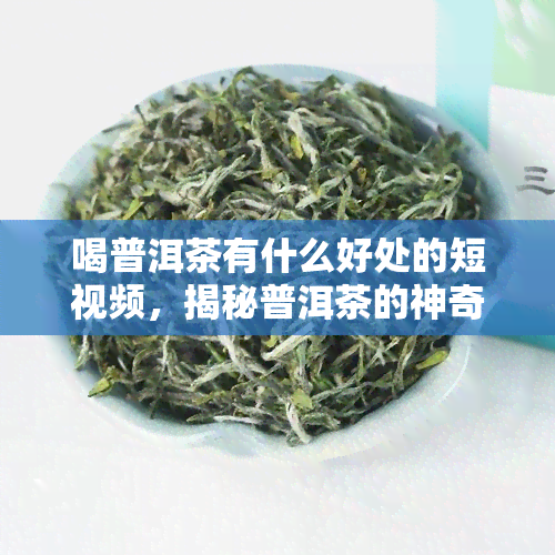 喝普洱茶有什么好处的短视频，揭秘普洱茶的神奇功效，让你爱上这一杯健饮品！