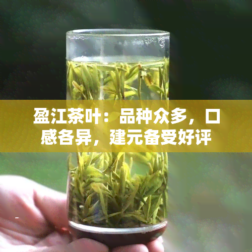 盈江茶叶：品种众多，口感各异，建元备受好评