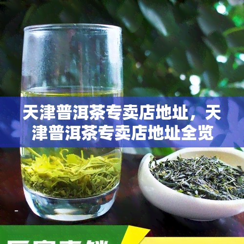 天津普洱茶专卖店地址，天津普洱茶专卖店地址全览，轻松找到心仪茶叶店！