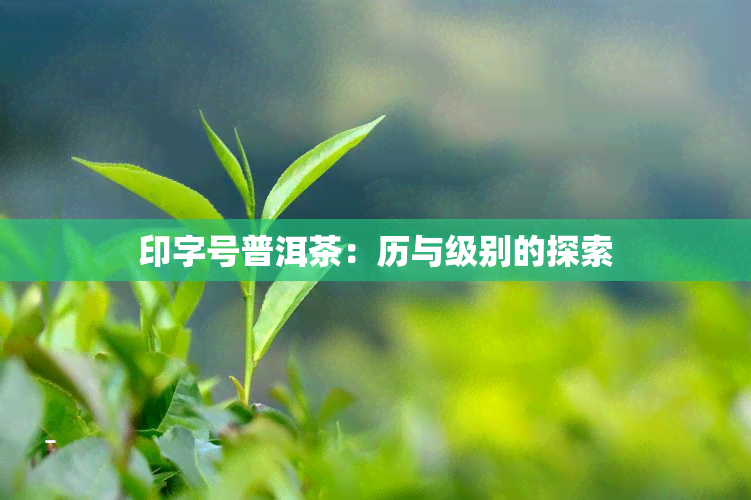 印字号普洱茶：历与级别的探索