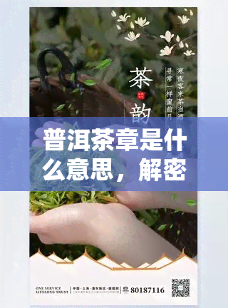 普洱茶章是什么意思，解密普洱茶章：你不知道的茶叶学问