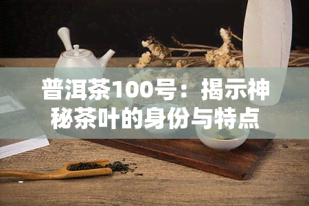 普洱茶100号：揭示神秘茶叶的身份与特点