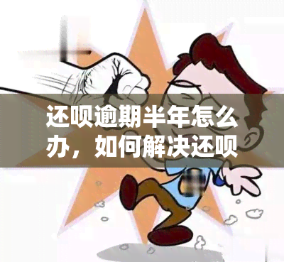 还呗逾期半年怎么办，如何解决还呗逾期半年的问题？