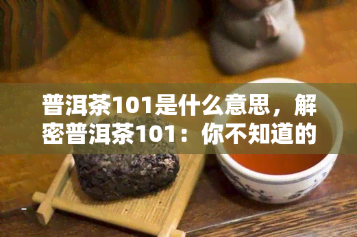 普洱茶101是什么意思，解密普洱茶101：你不知道的茶叶秘密