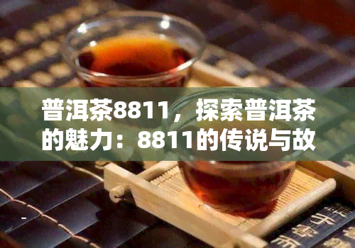 普洱茶8811，探索普洱茶的魅力：8811的传说与故事