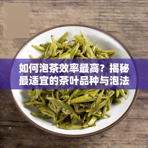 如何泡茶效率更高？揭秘最适宜的茶叶品种与泡法