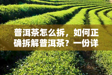 普洱茶怎么拆，如何正确拆解普洱茶？一份详细的步骤指南