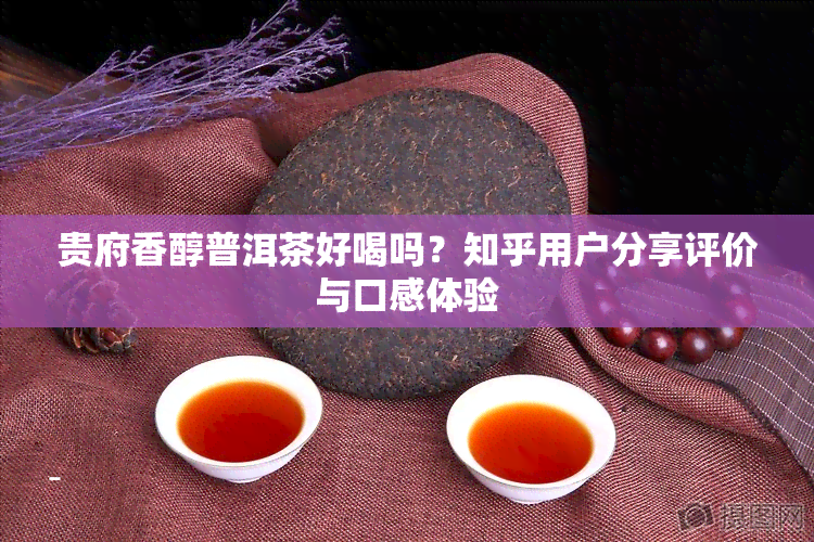 贵府香醇普洱茶好喝吗？知乎用户分享评价与口感体验