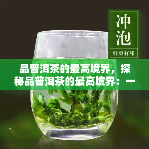 品普洱茶的更高境界，探秘品普洱茶的更高境界：一场味蕾与心灵的旅行