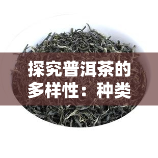 探究普洱茶的多样性：种类丰富，你了解多少？