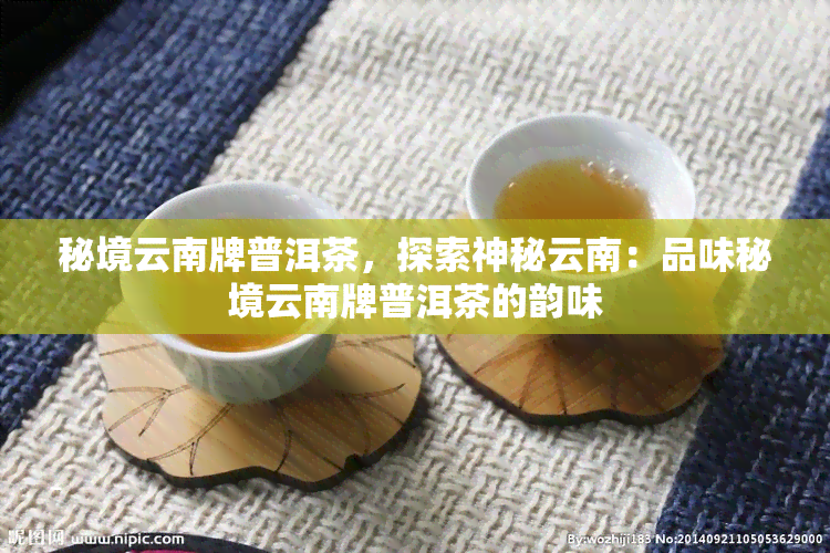 秘境云南牌普洱茶，探索神秘云南：品味秘境云南牌普洱茶的韵味