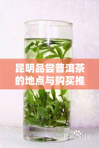 昆明品尝普洱茶的地点与购买推荐