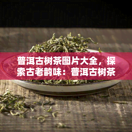 普洱古树茶图片大全，探索古老韵味：普洱古树茶图片大全