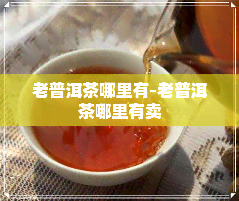 老普洱茶哪里有-老普洱茶哪里有卖