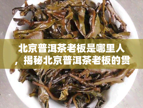 北京普洱茶老板是哪里人，揭秘北京普洱茶老板的贯，他是哪里人？