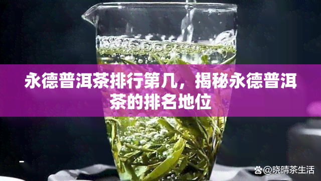 永德普洱茶排行第几，揭秘永德普洱茶的排名地位