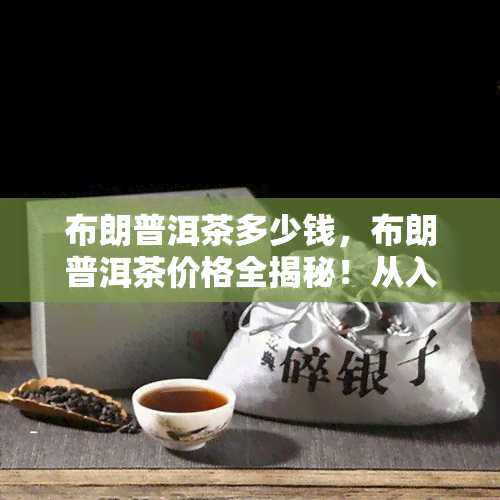 布朗普洱茶多少钱，布朗普洱茶价格全揭秘！从入门到高端，一文看懂