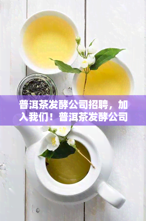 普洱茶发酵公司招聘，加入我们！普洱茶发酵公司正在招聘优秀人才