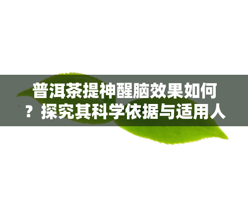 普洱茶提神醒脑效果如何？探究其科学依据与适用人群