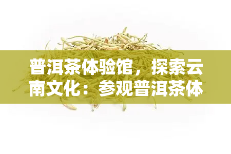 普洱茶体验馆，探索云南文化：参观普洱茶体验馆