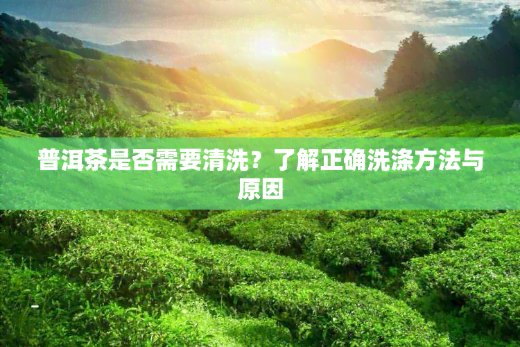 普洱茶是否需要清洗？了解正确洗涤方法与原因