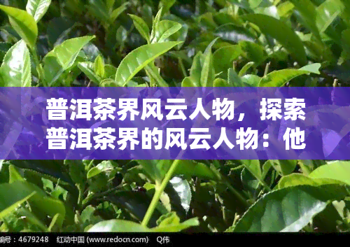 普洱茶界风云人物，探索普洱茶界的风云人物：他们的故事与影响力