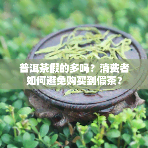 普洱茶假的多吗？消费者如何避免购买到假茶？