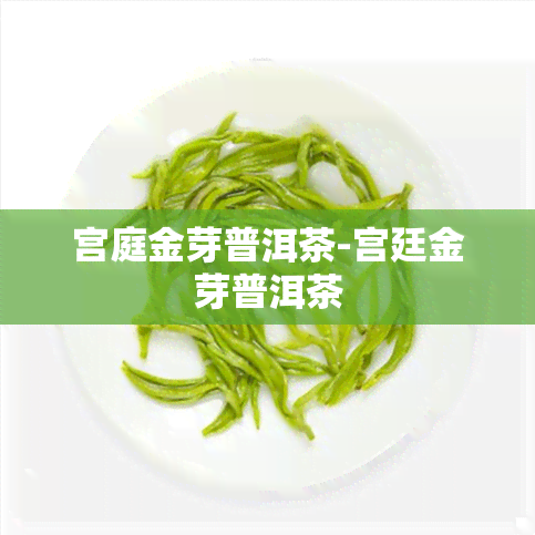 宫庭金芽普洱茶-宫廷金芽普洱茶