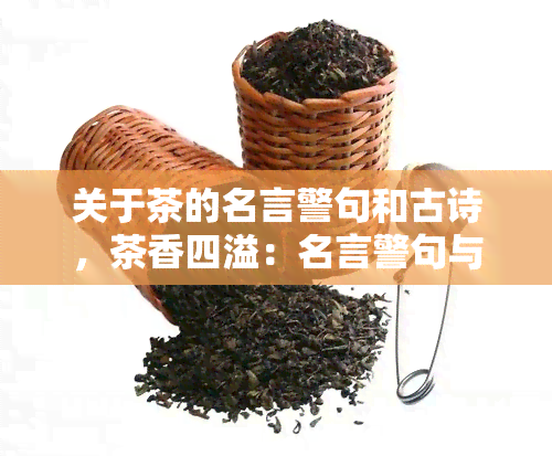 关于茶的名言警句和古诗，茶香四溢：名言警句与古诗意蕴