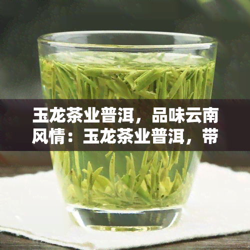 玉龙茶业普洱，品味云南风情：玉龙茶业普洱，带你领略普洱的魅力